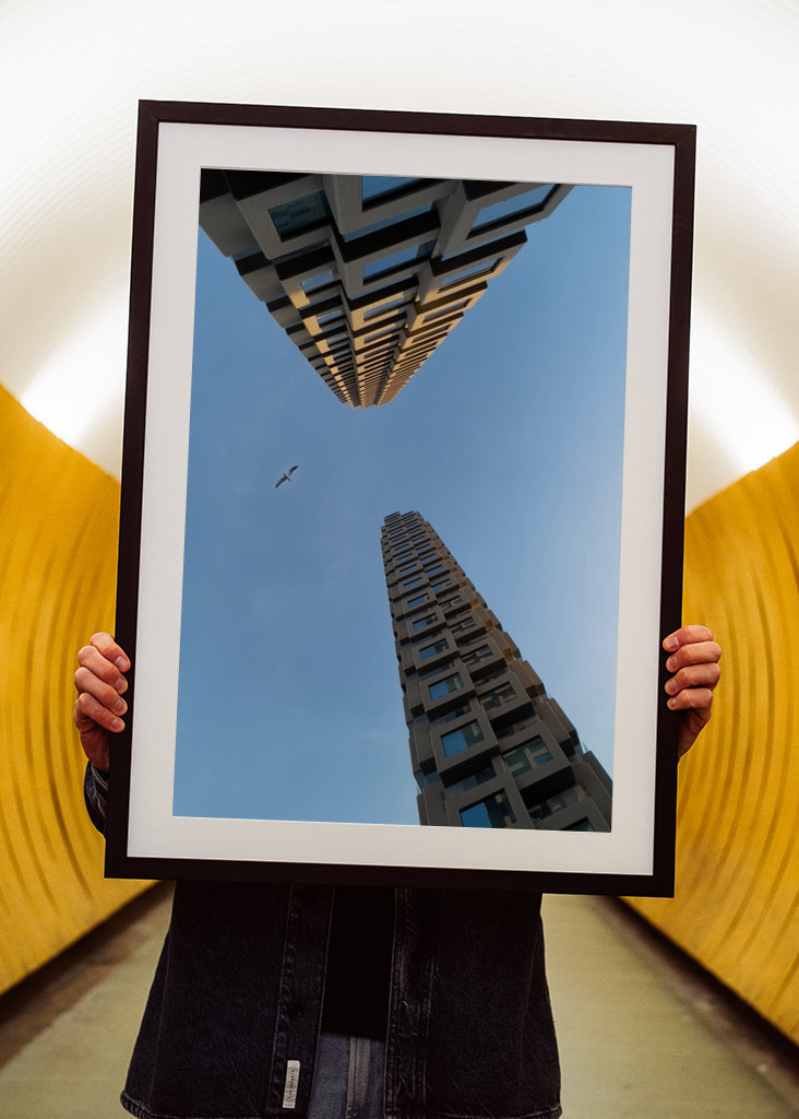 Severní věže a pták