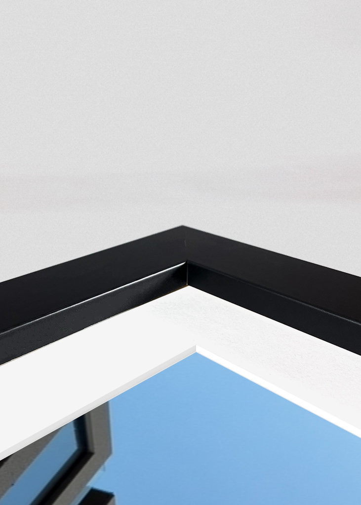 Severní věže a pták