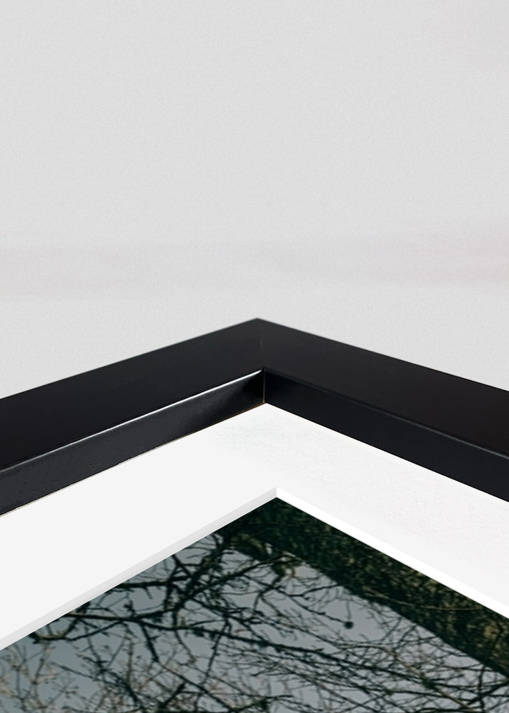 Bonitos árboles en primavera