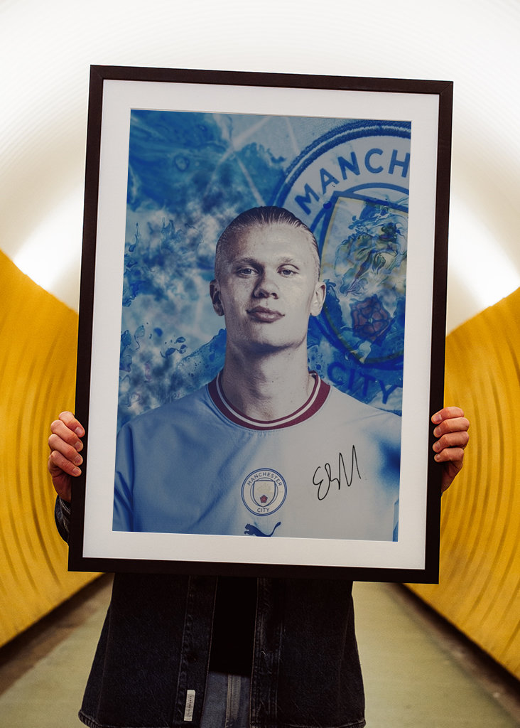 Erling Halaand Prime