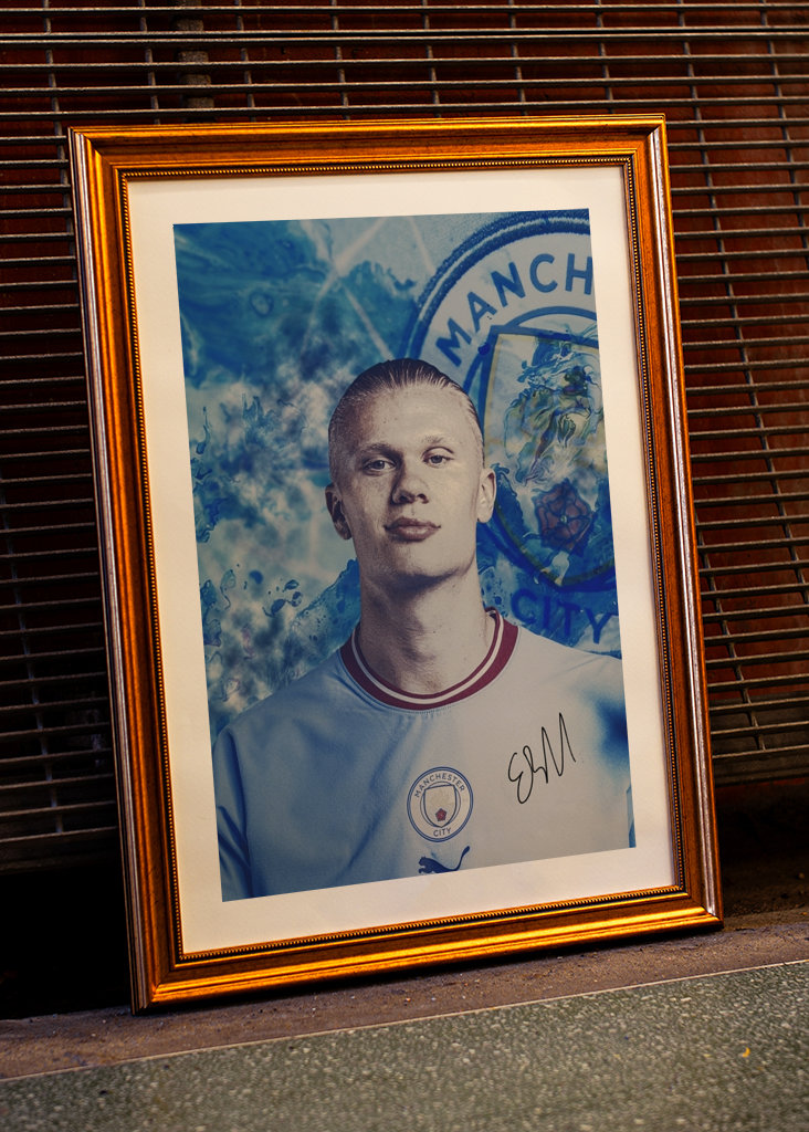 Erling Halaand Prime