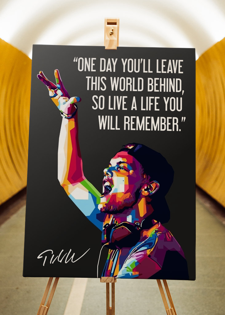 Avicii Quotes