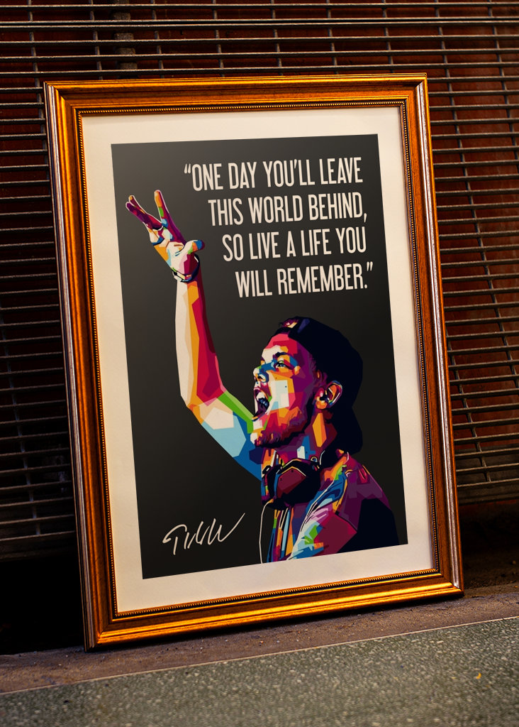 Avicii Quotes