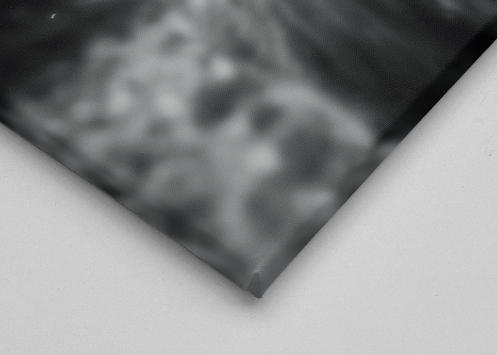 Highlander Kuh in schwarzweiß