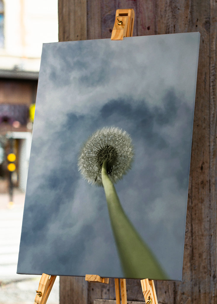 Dandelion palm