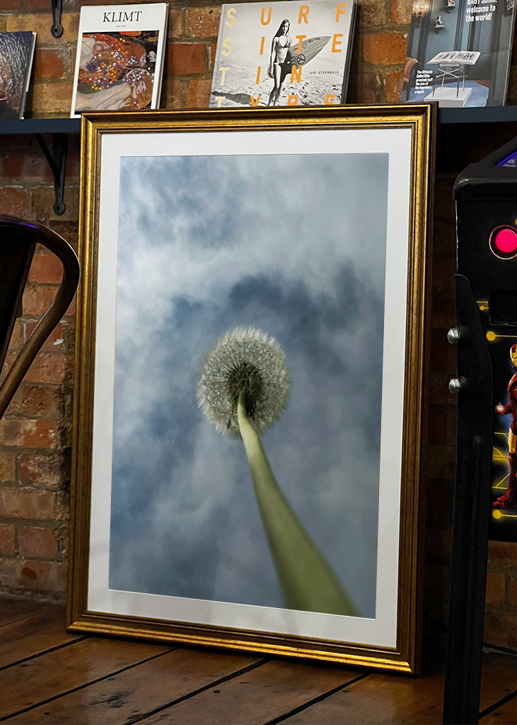 Dandelion palm