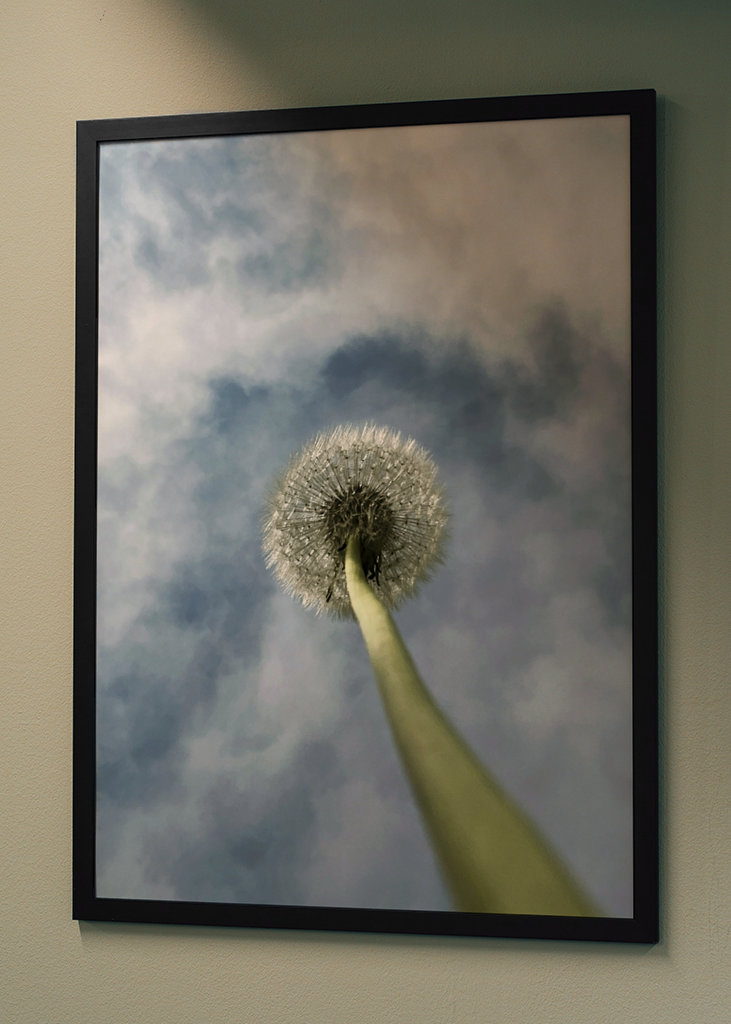 Dandelion palm