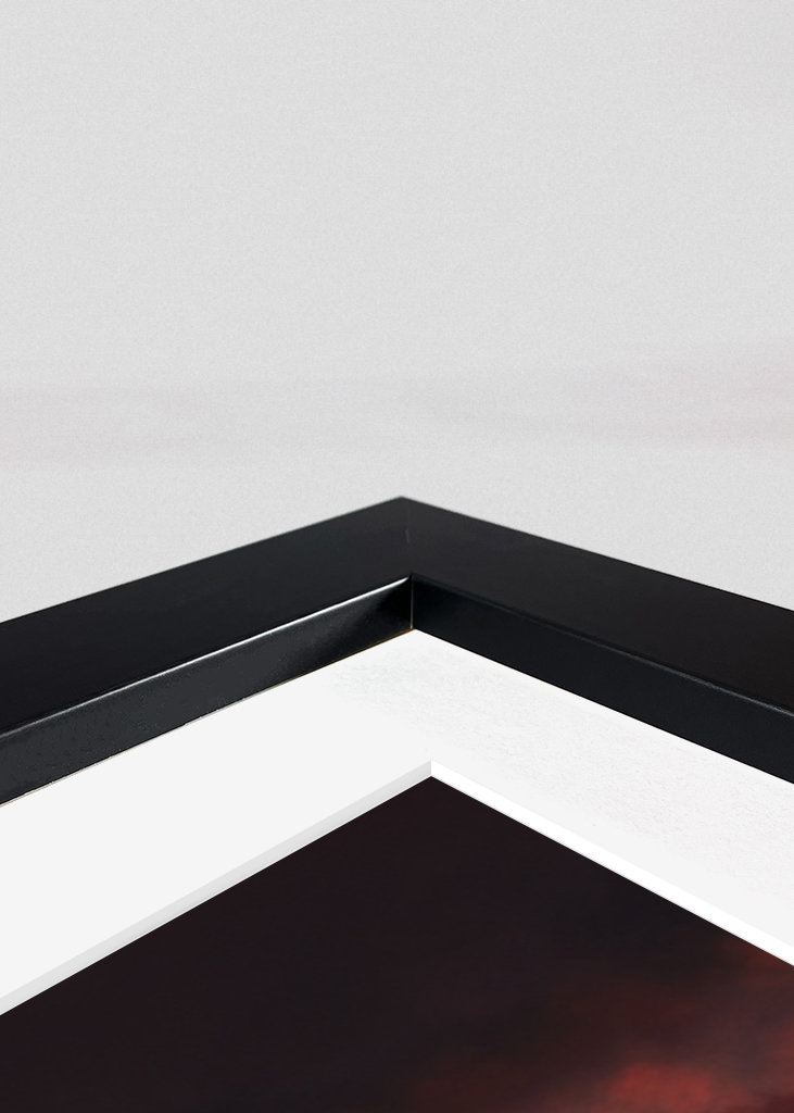 Thorfinn Vinland Saga