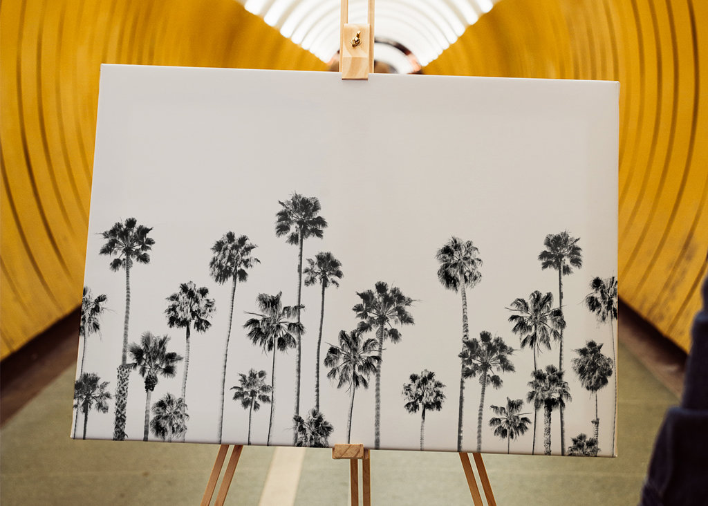 Palmas en blanco y negro 2