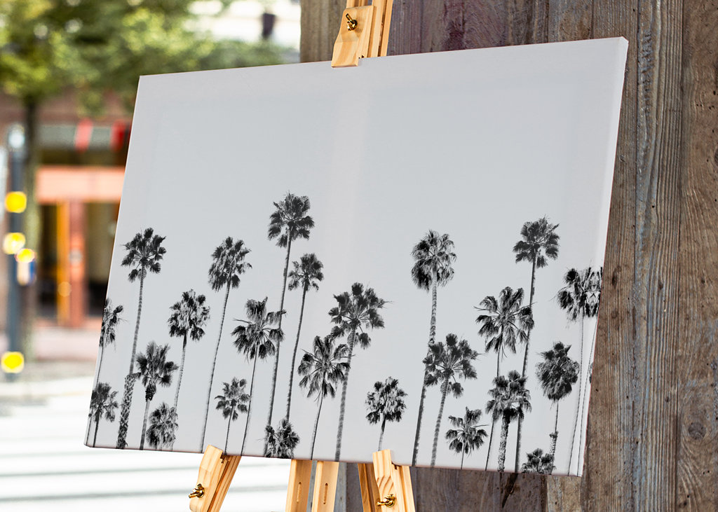 Palmas en blanco y negro 2