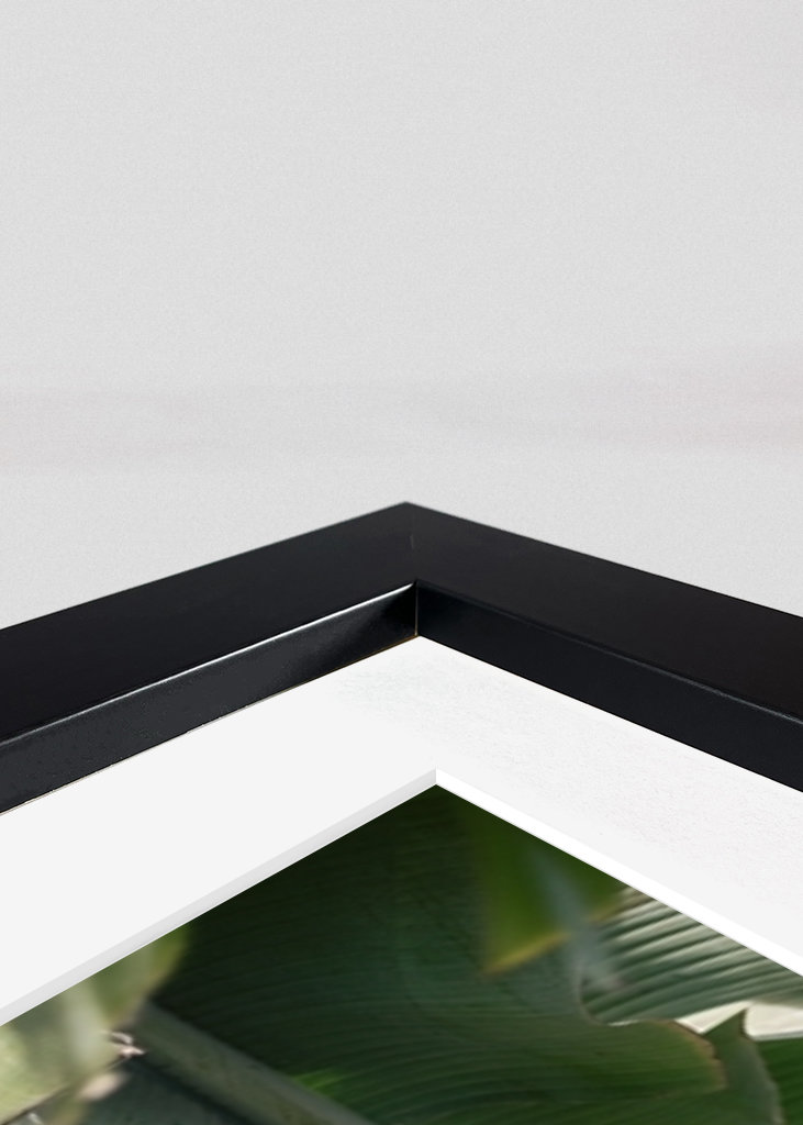 Tropická banánovník Španělsko