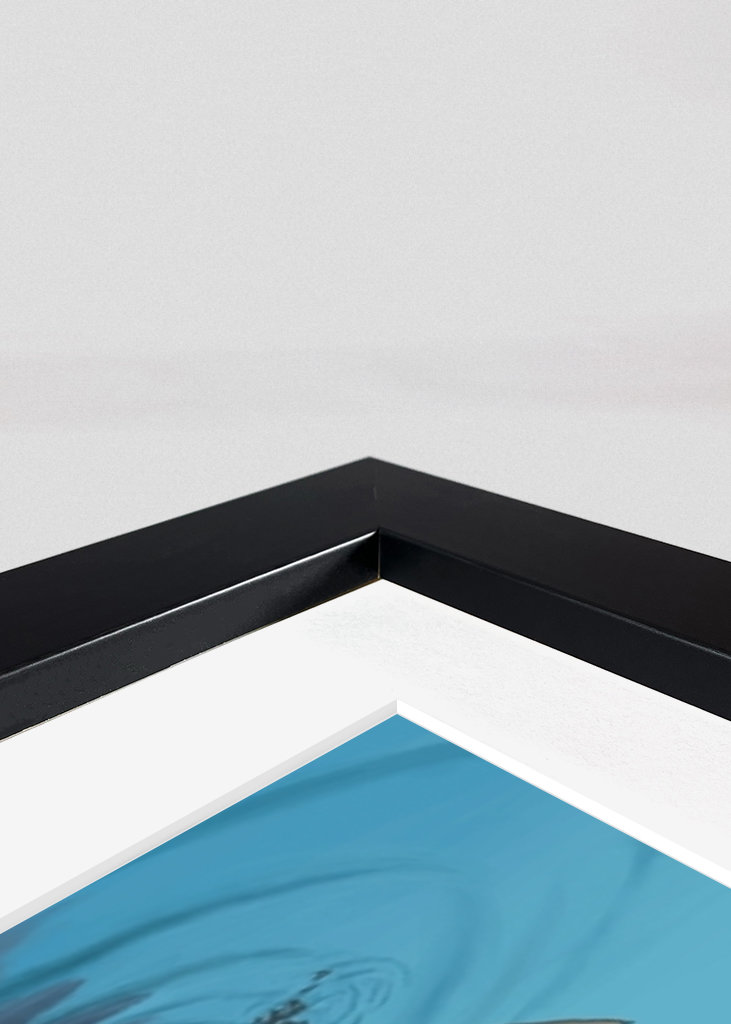 Foraging Wild Edibles