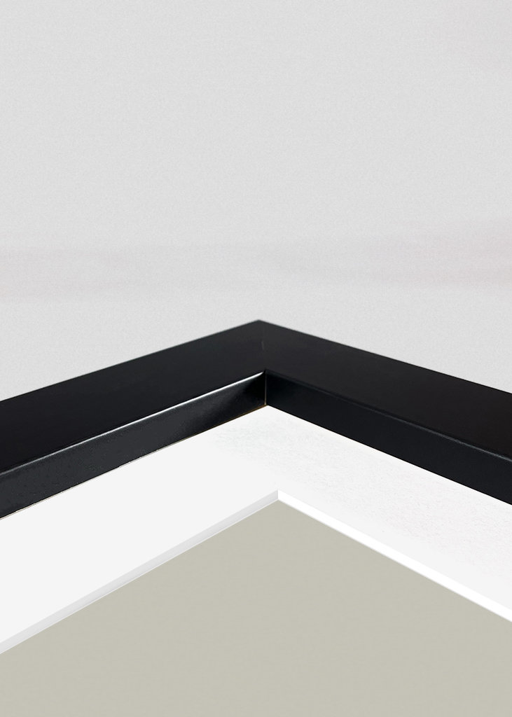 Jordan x Dior rika sneakers