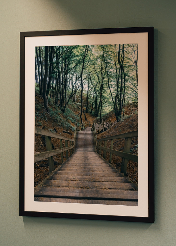 Stairs Through Forest