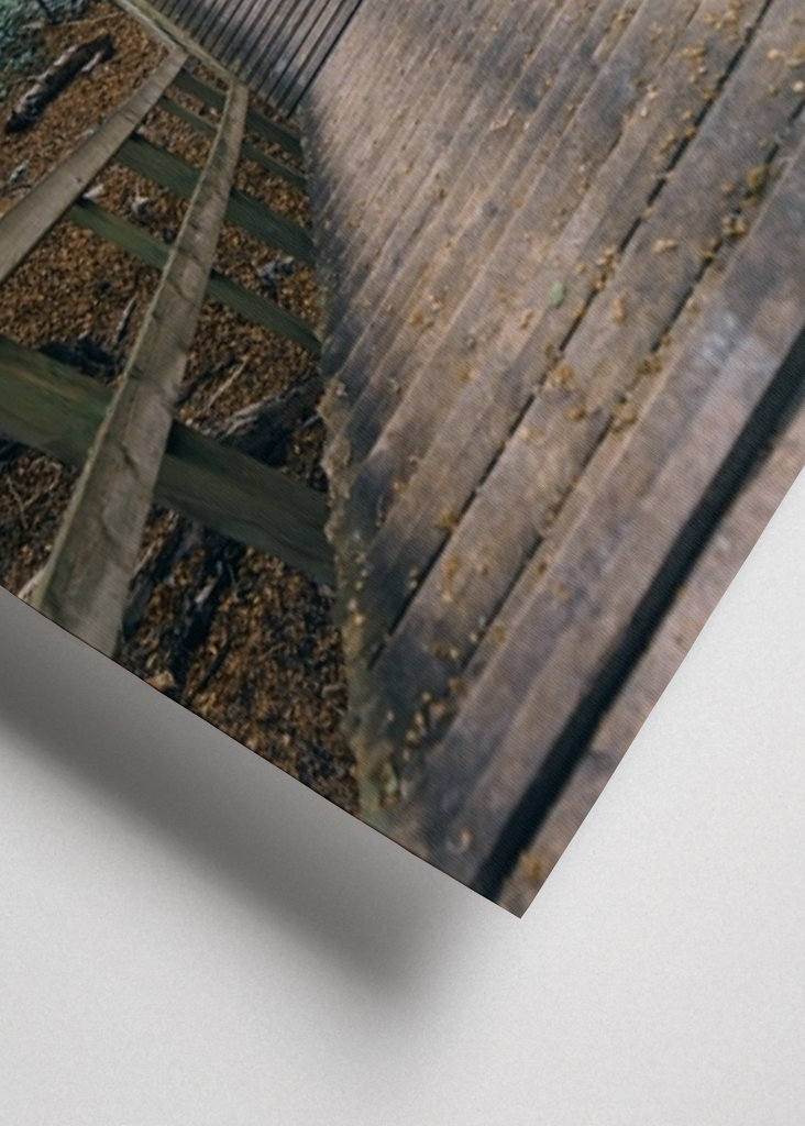 Stairs Through Forest