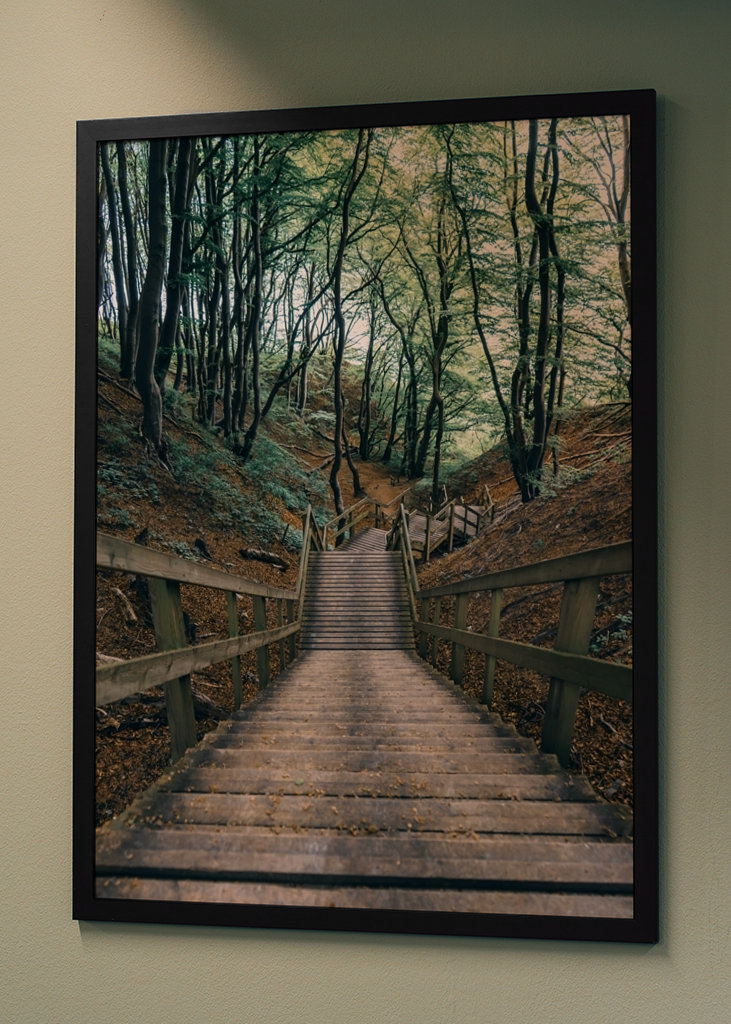 Stairs Through Forest