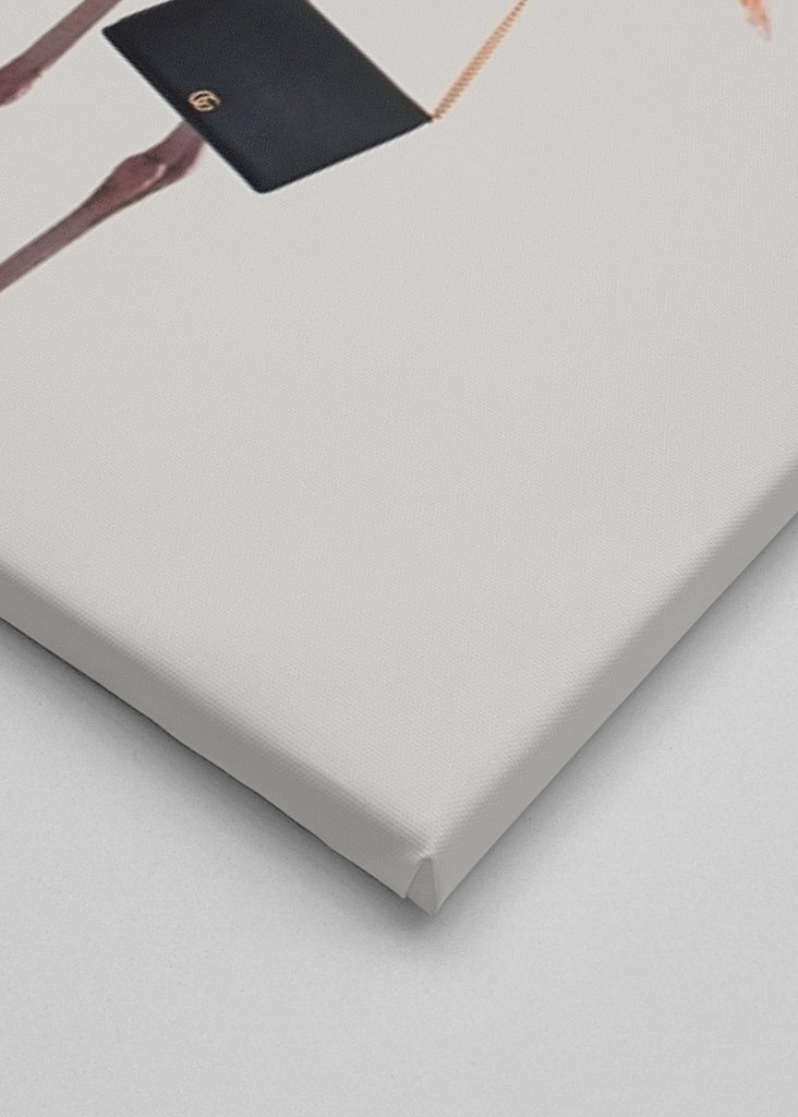 Filmová jemnost plameňáka