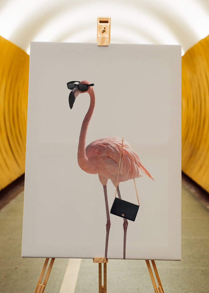 Filmová jemnost plameňáka