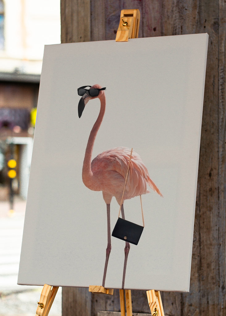 Filmová jemnost plameňáka