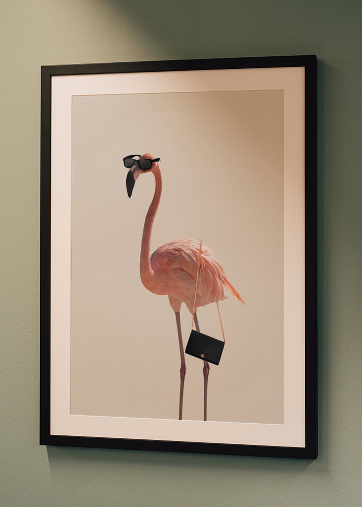 Filmová jemnost plameňáka