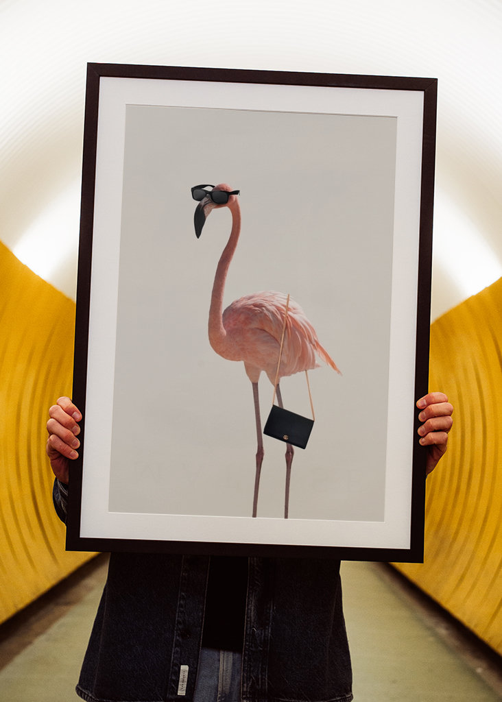 Filmová jemnost plameňáka