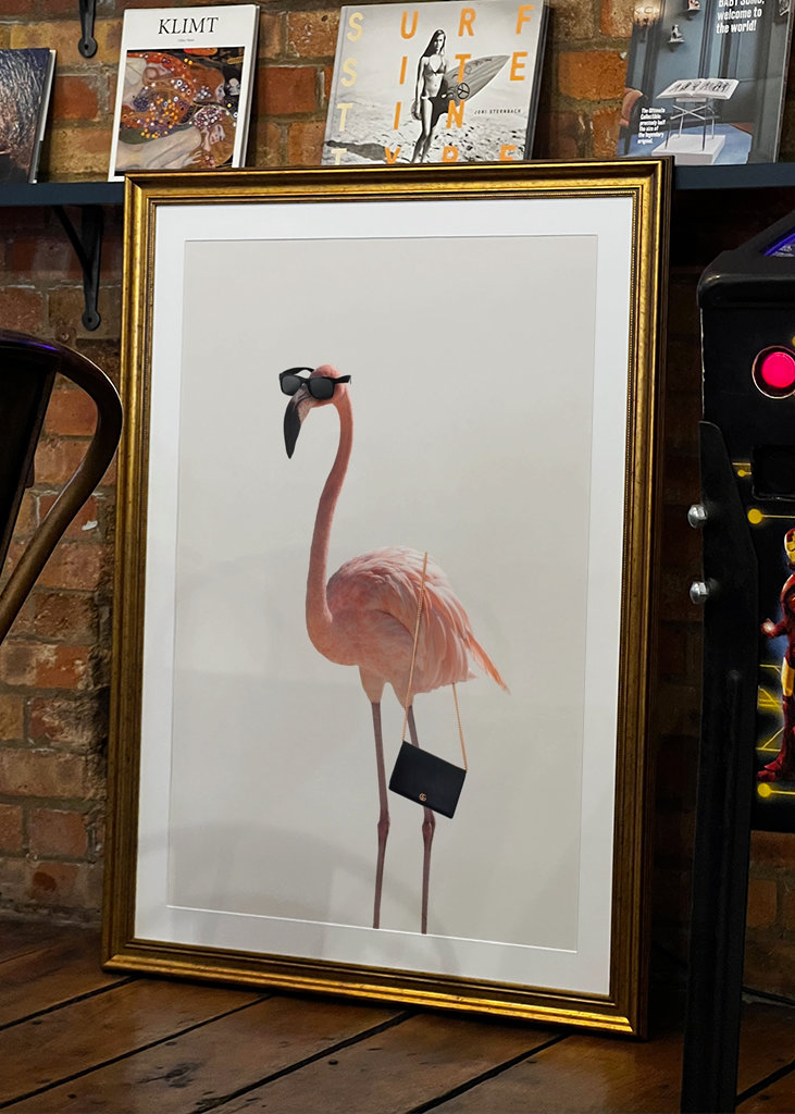 Filmová jemnost plameňáka