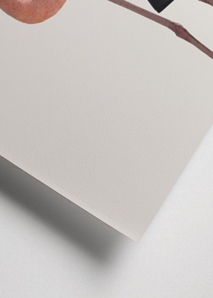 Filmová jemnost plameňáka