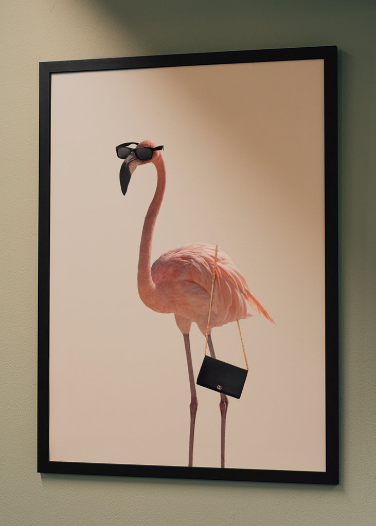 Filmová jemnost plameňáka