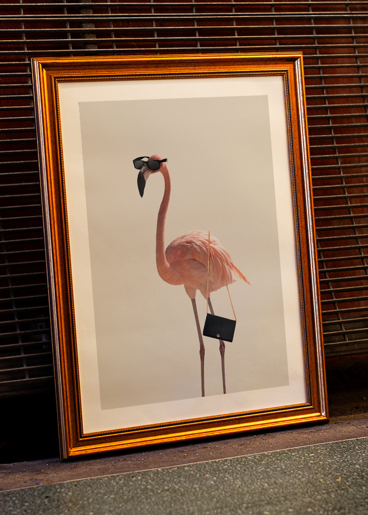 Filmová jemnost plameňáka