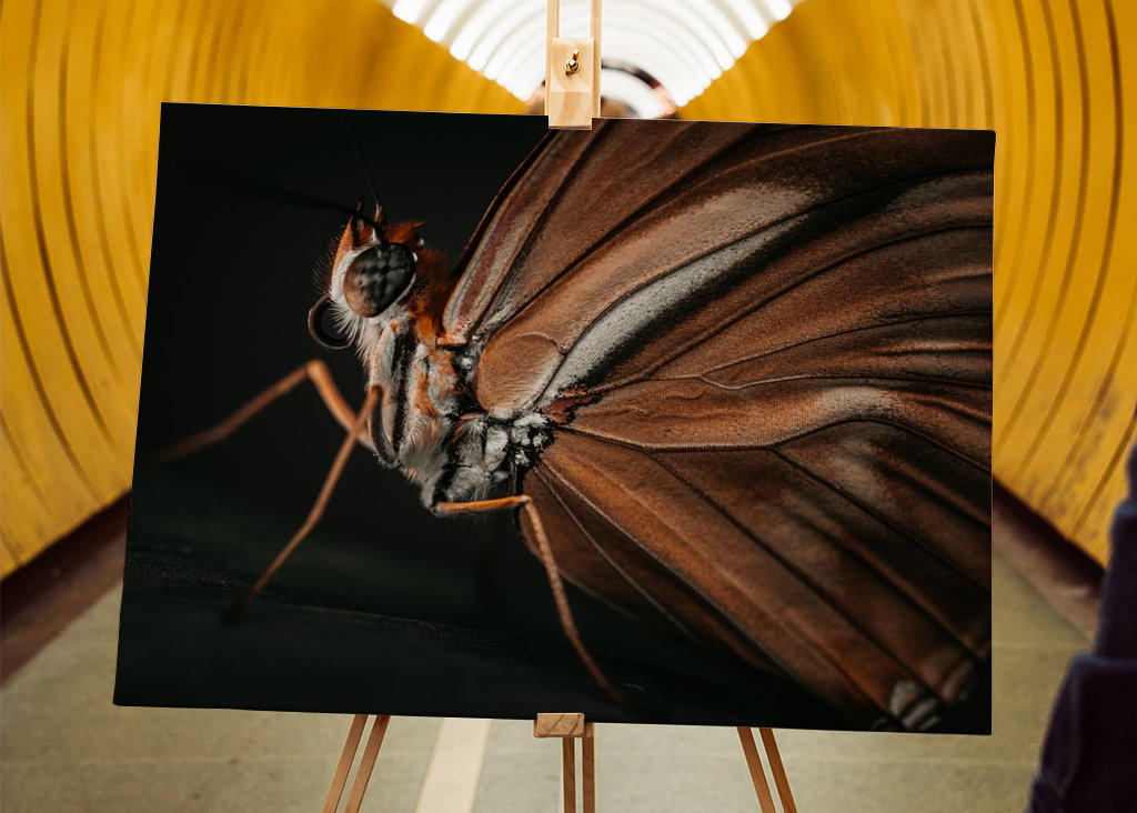 Golden Butterfly at sunset