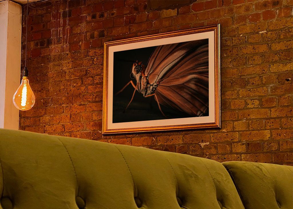 Golden Butterfly at sunset