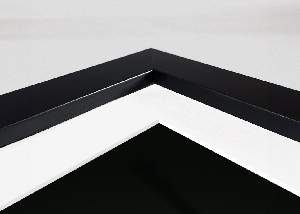 Golden Butterfly at sunset