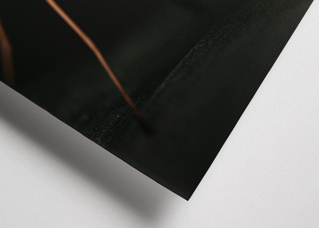 Golden Butterfly at sunset