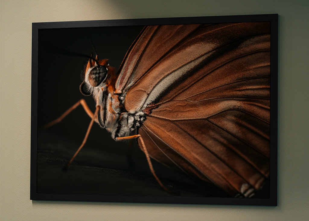 Golden Butterfly at sunset