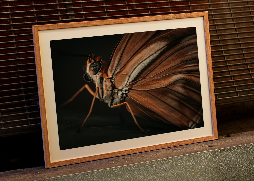 Golden Butterfly at sunset