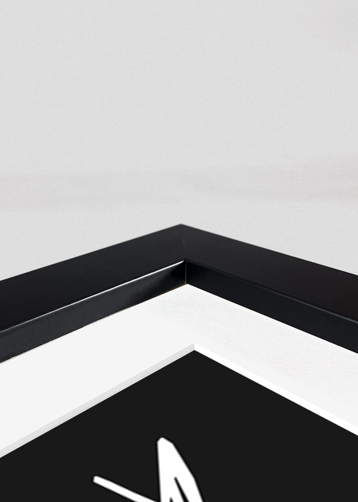 Jordan 1 Low Schwarz Weiß 