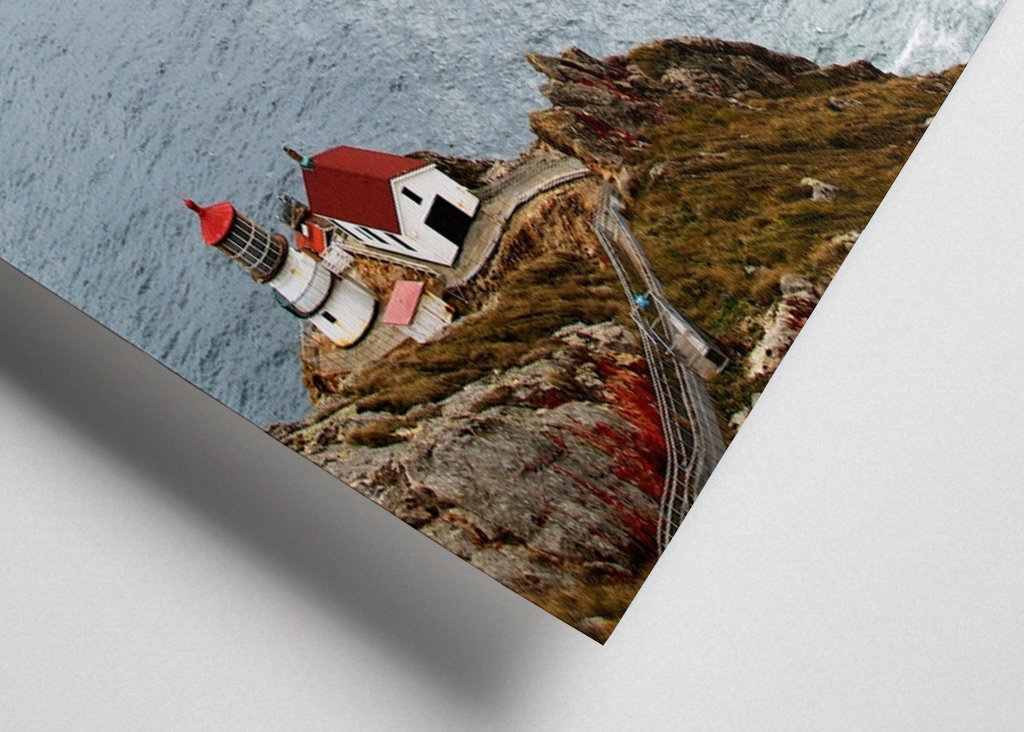 Point Reyes- ihmisten turvapaikka