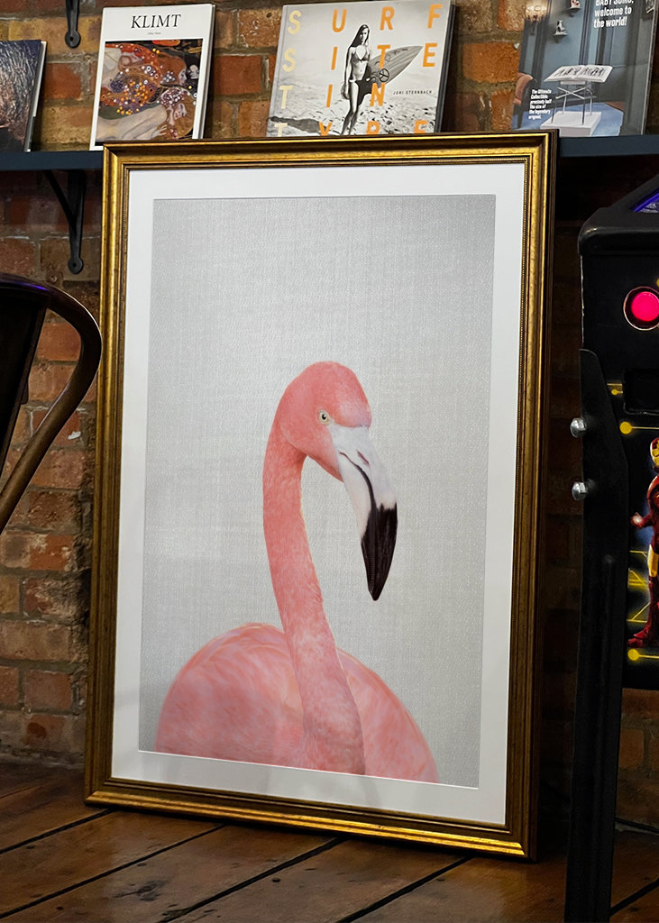 Flamingo