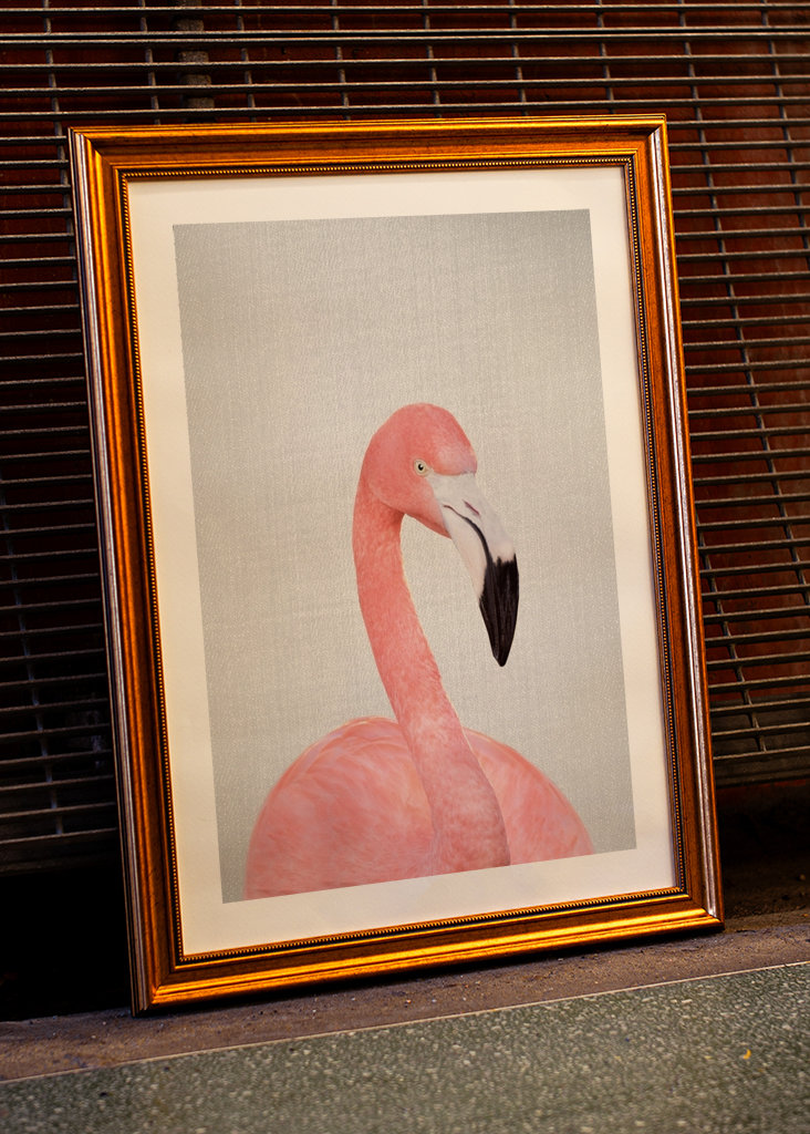 Flamingo