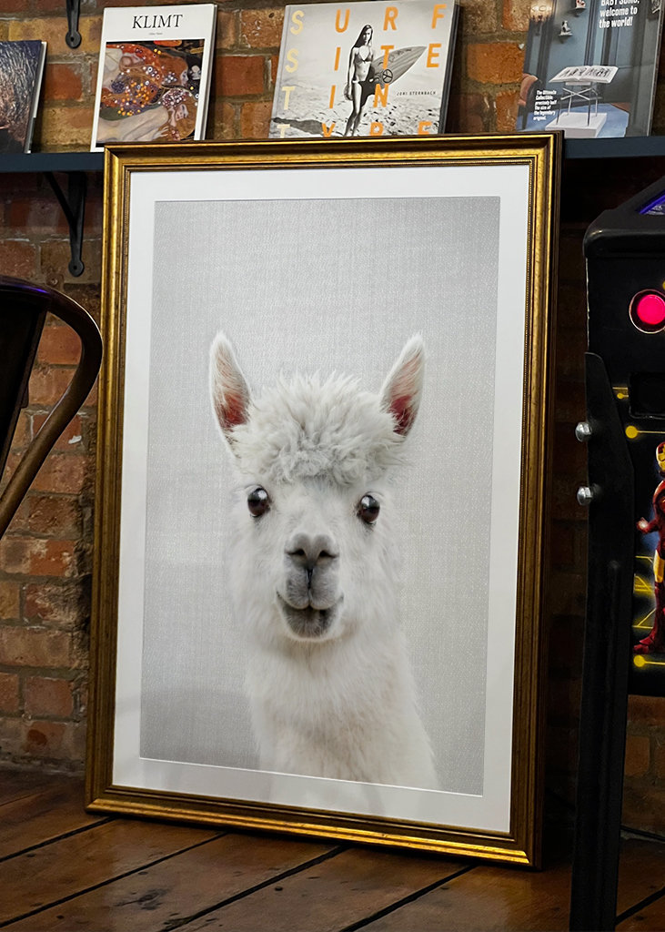 Llama