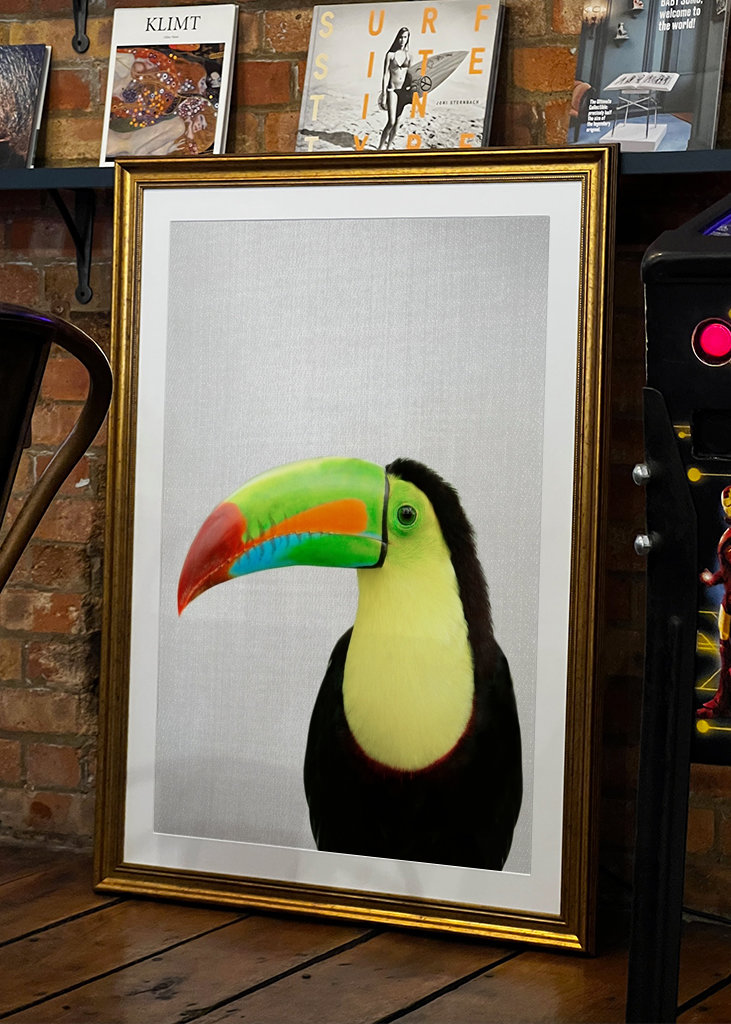 Toucan Bird