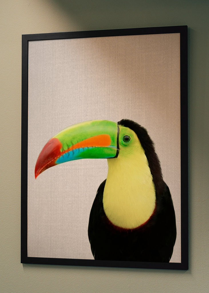Toucan Bird