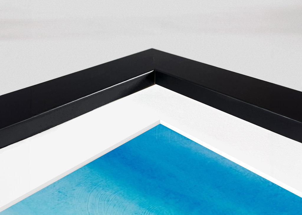 Surfování a surfaři