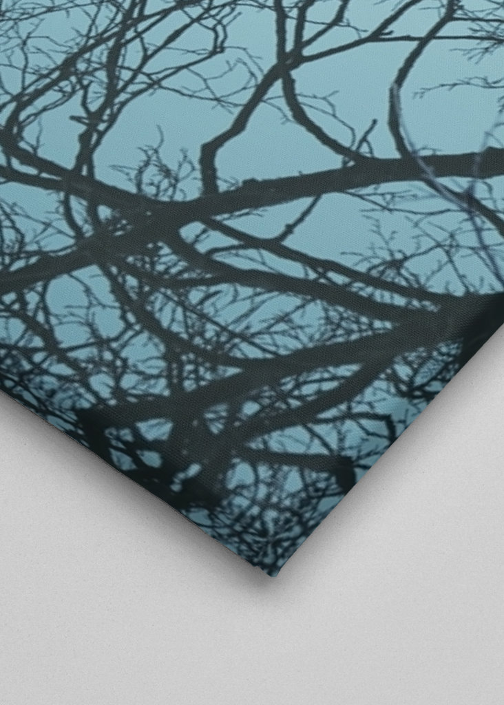 Wood mirrored in water