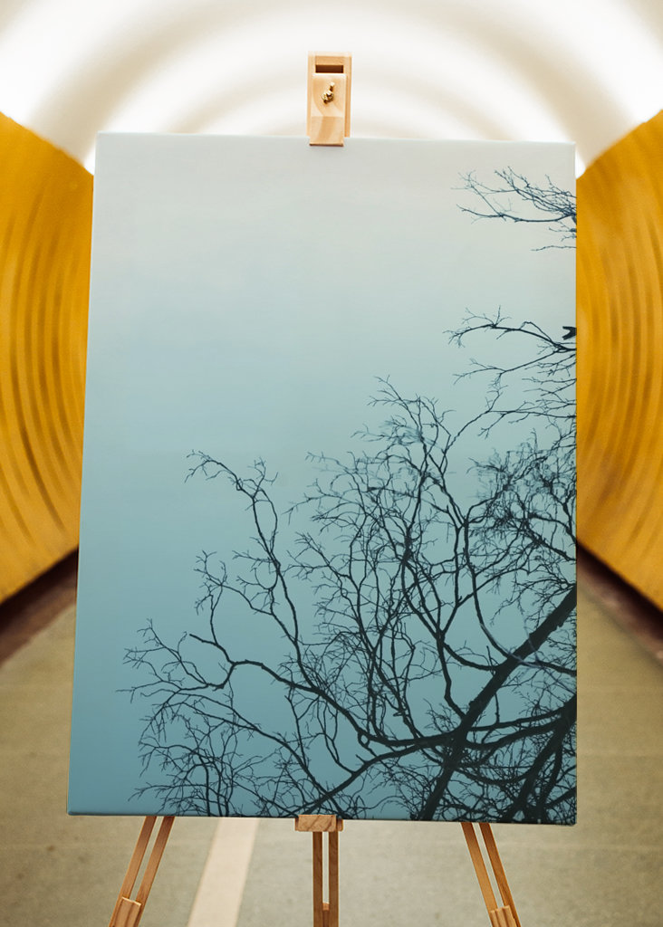 Wood mirrored in water