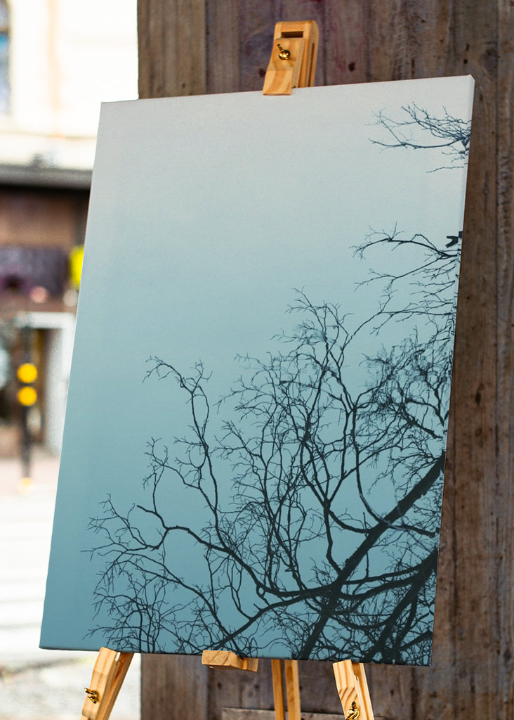 Wood mirrored in water
