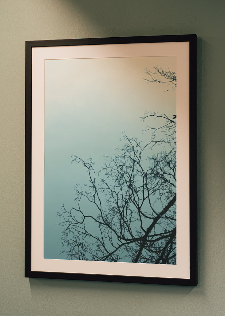 Wood mirrored in water