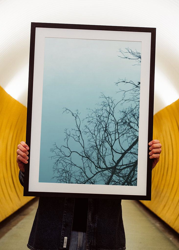 Wood mirrored in water