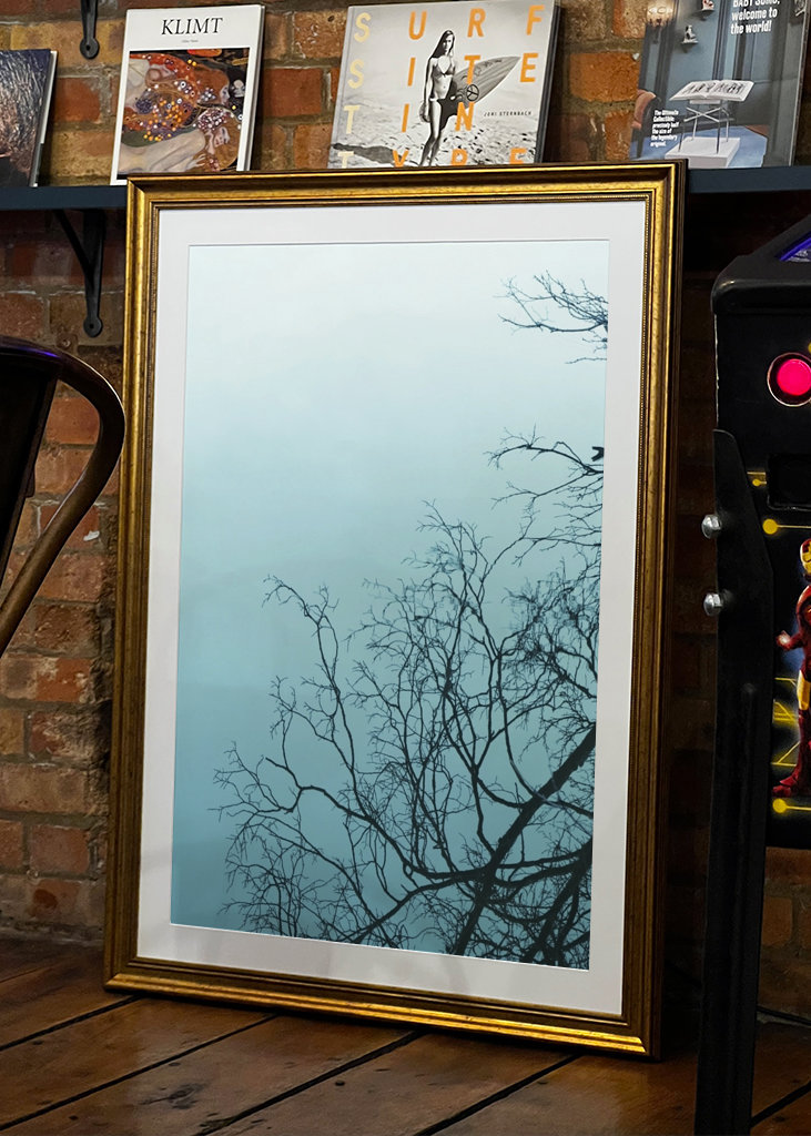 Wood mirrored in water