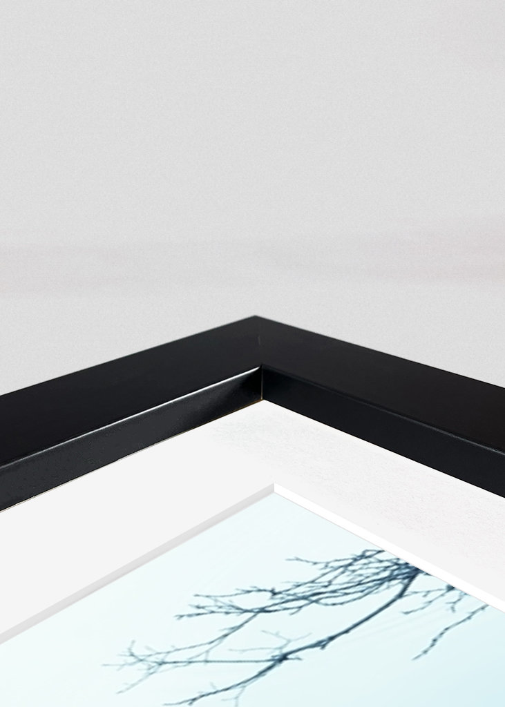 Wood mirrored in water